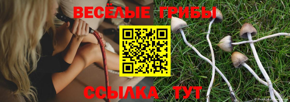 Дедовск  Псилоцибиновые грибы мухоморы  Псилоцибиновые грибы MAGIC MUSHROOMS  Вход с VPN 
